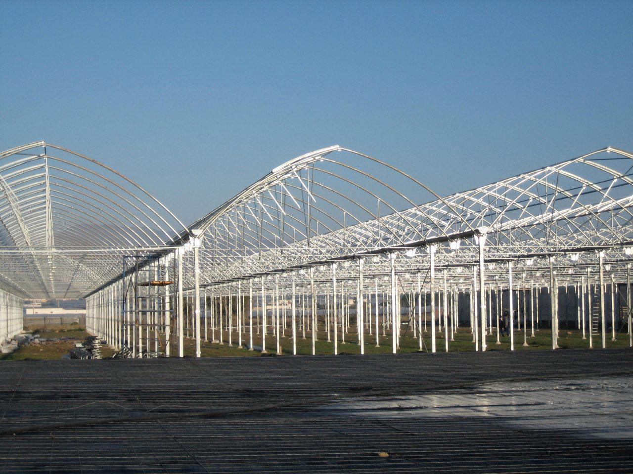 Parts 78 and 85 of Aras Greenhouse Town