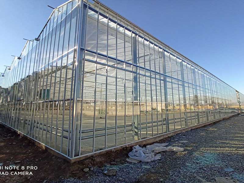Greenhouse training - types of greenhouses (part three)