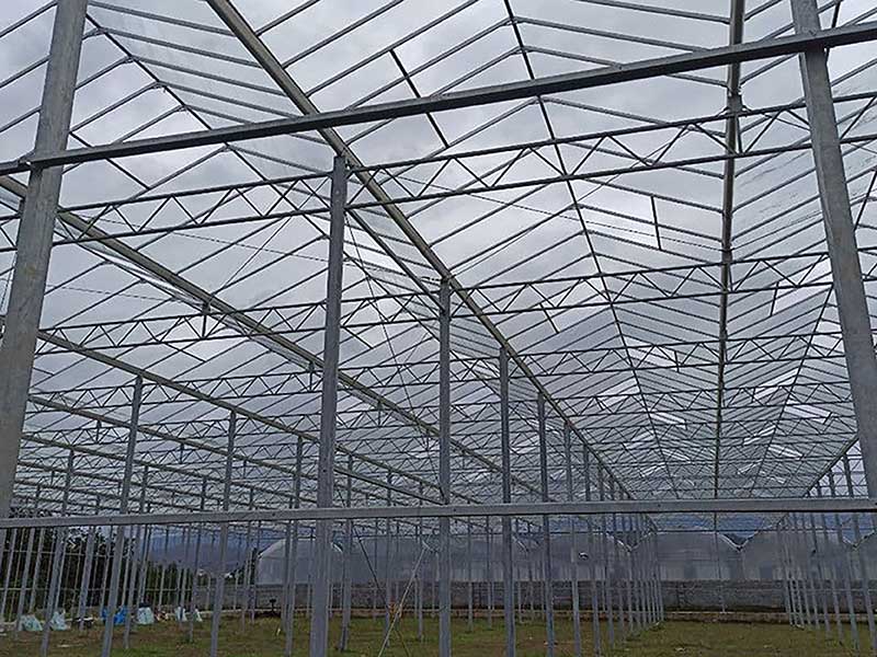 Greenhouse training - choosing the construction site and the characteristics of the greenhouse structure (Part 2)