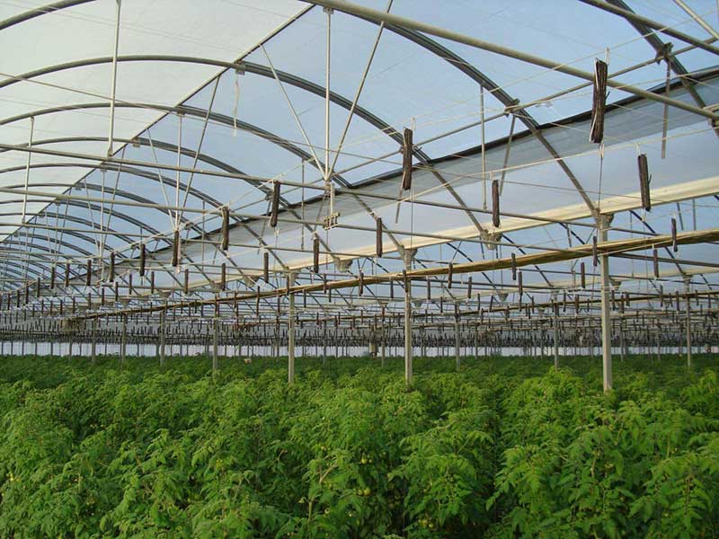Comprehensive article on greenhouse construction - Different types of greenhouses - Greenhouse maintenance