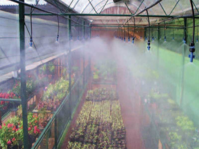 Fogging systems (fogging) in the greenhouse