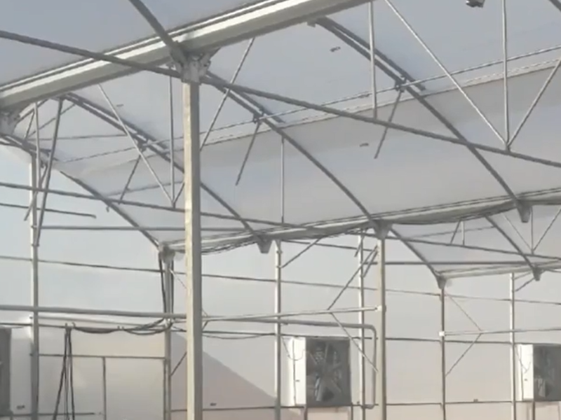 Jolfa greenhouse construction project