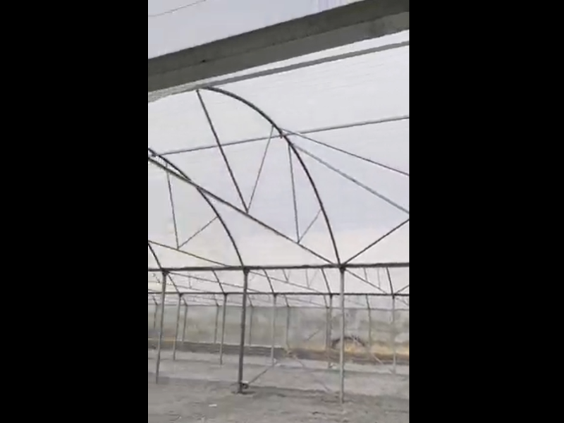 Greenhouse structure, Greenhouse construction - Sepidsazeh Greenhouse Group