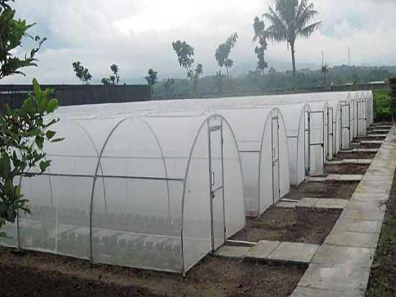 Construction of a tunnel greenhouse