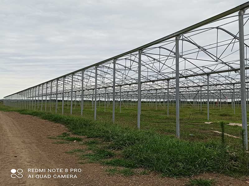 Construction of a 10-hectare greenhouse for Elixir Sanat Co.