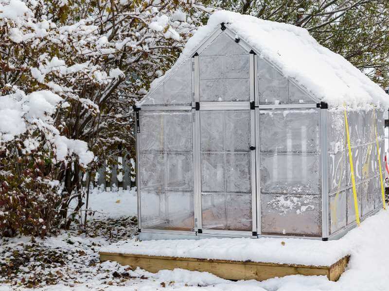 The cost of building a home greenhouse