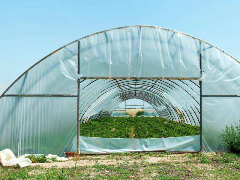 The cost of building a greenhouse with rebar