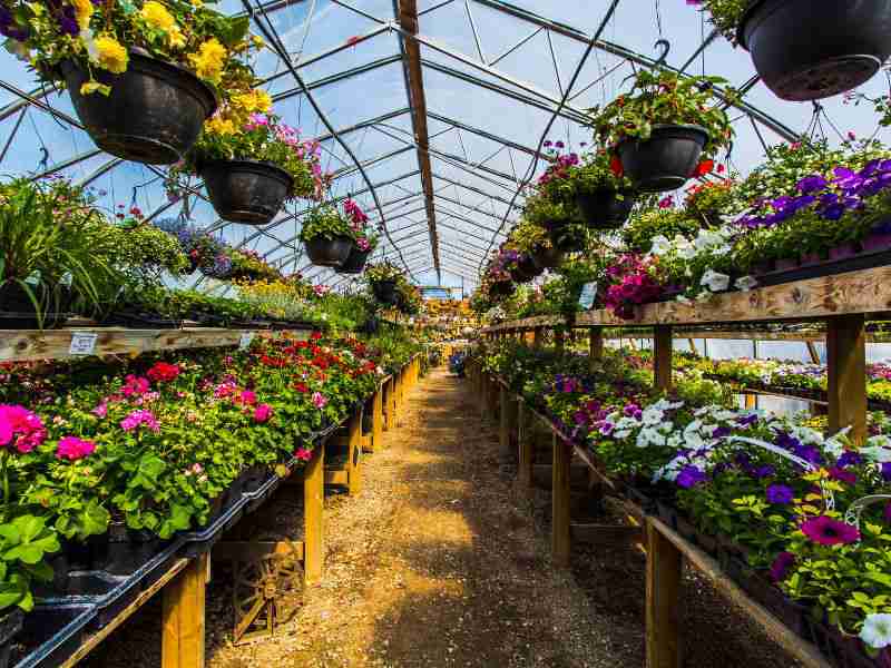 Types of greenhouses in terms of technology level