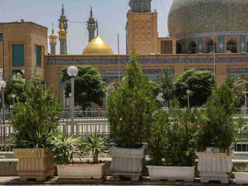 110 saplings were planted to refresh the shrine of Hazrat Masoumeh (S).