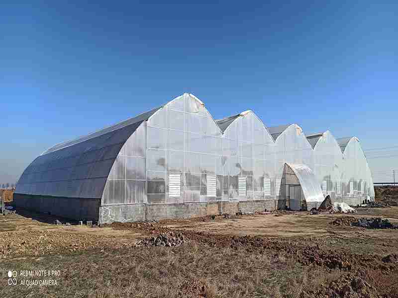 Greenhouse 2,000m round polycarbonate theoretical business company