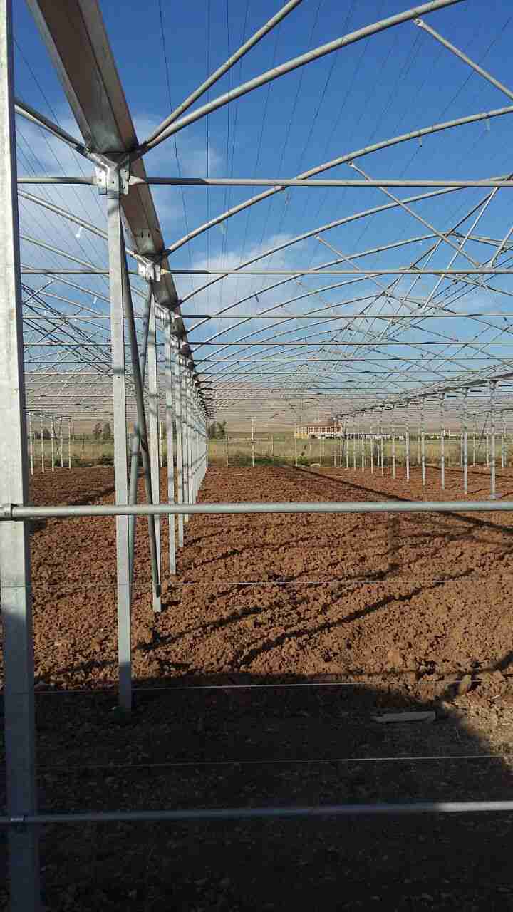 Construction of Plastic Greenhouse of Sulaymaniyah Iraq-HajiSavareh