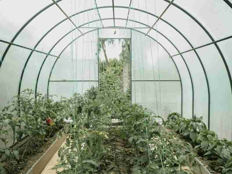 Construction of a tunnel greenhouse