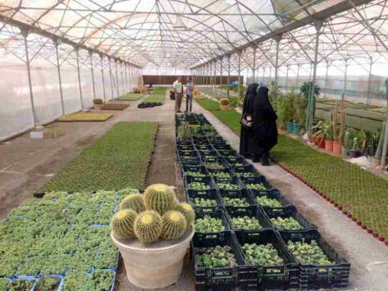 ساخت گلخانه در تهران