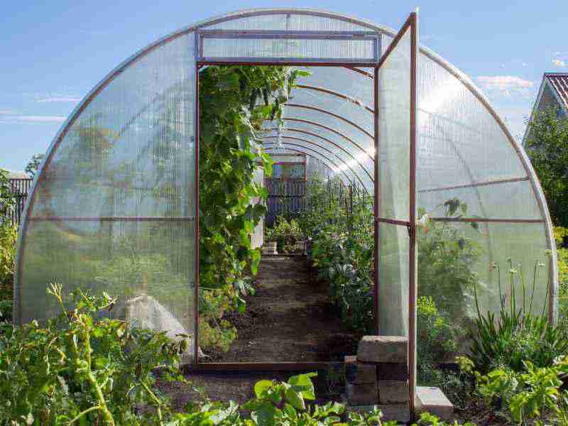 Advantages of making a plastic greenhouse