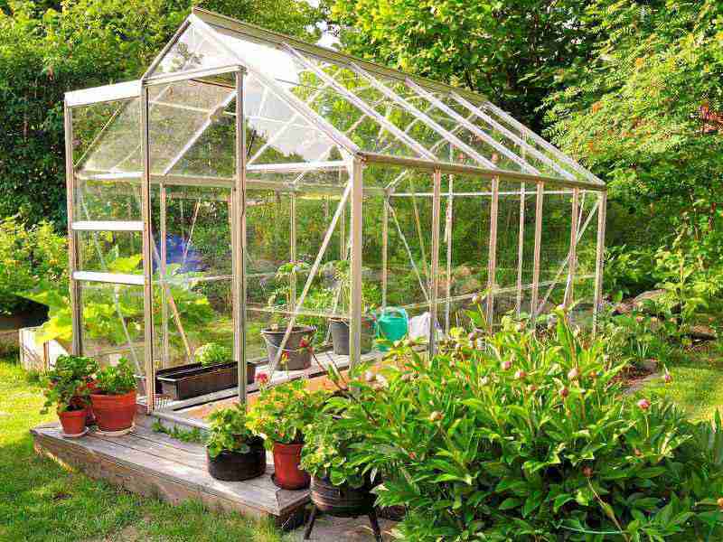 Advantages of building a home greenhouse