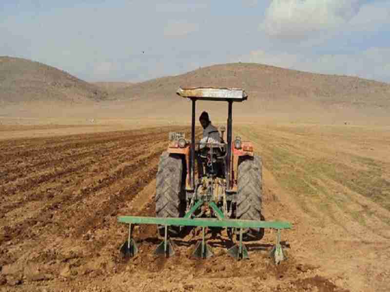 تتم زراعة 69٪ من حقول أذربيجان الغربية في الخريف
