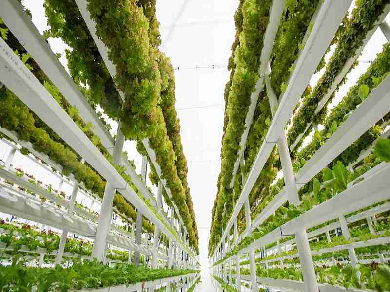 What is vertical cultivation and what are its advantages?