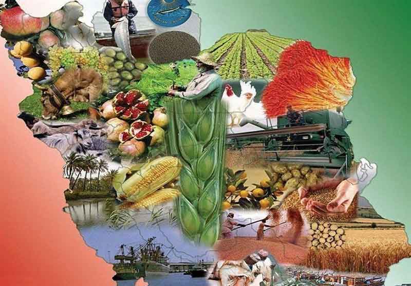 کشاورزی ایران ظرفیت تولید غذا برای ۵۰۰میلیون نفر را دارد