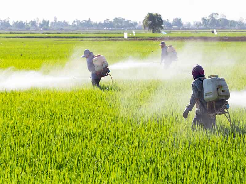 How to produce and test agricultural pesticides to ensure health?