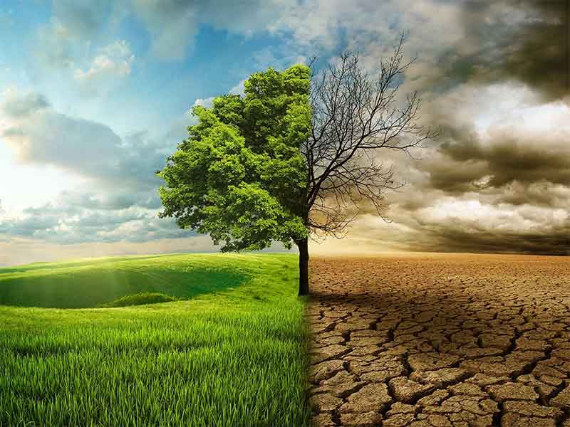 Desertification in the country has reached 3 times the countermeasures