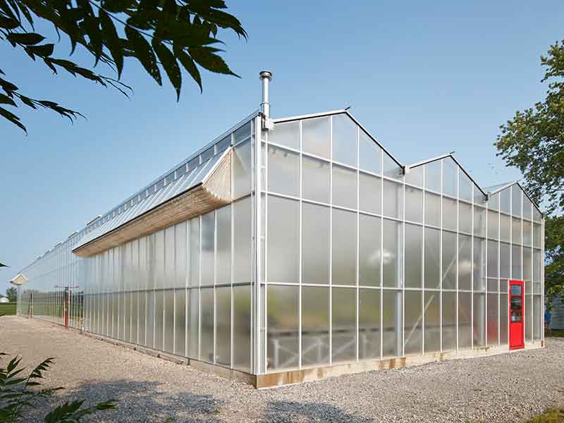 The required area of the building is proportional to the design and area of the greenhouse