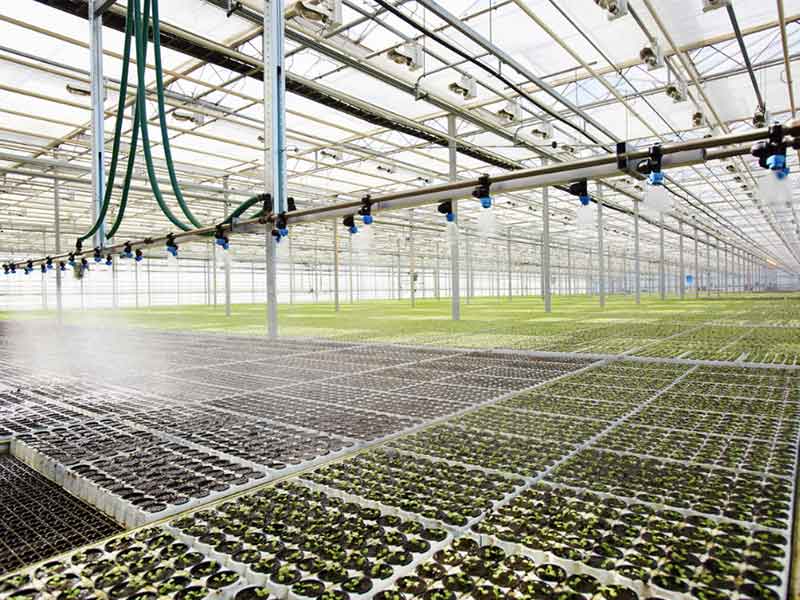 Control of environmental conditions, irrigation and drainage of the greenhouse