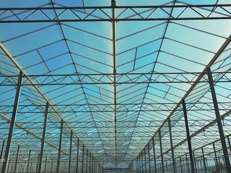 Sulaimaniyah Greenhouse Construction Project