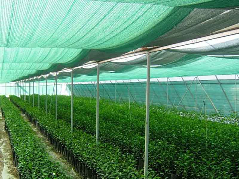 Energy saving curtain in the greenhouse (shade)