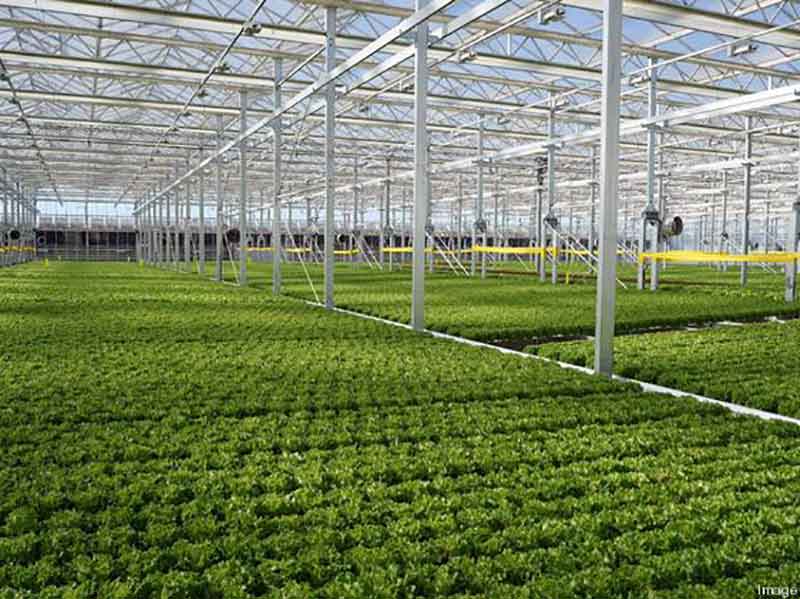 What equipment is needed to create a half-hectare greenhouse?