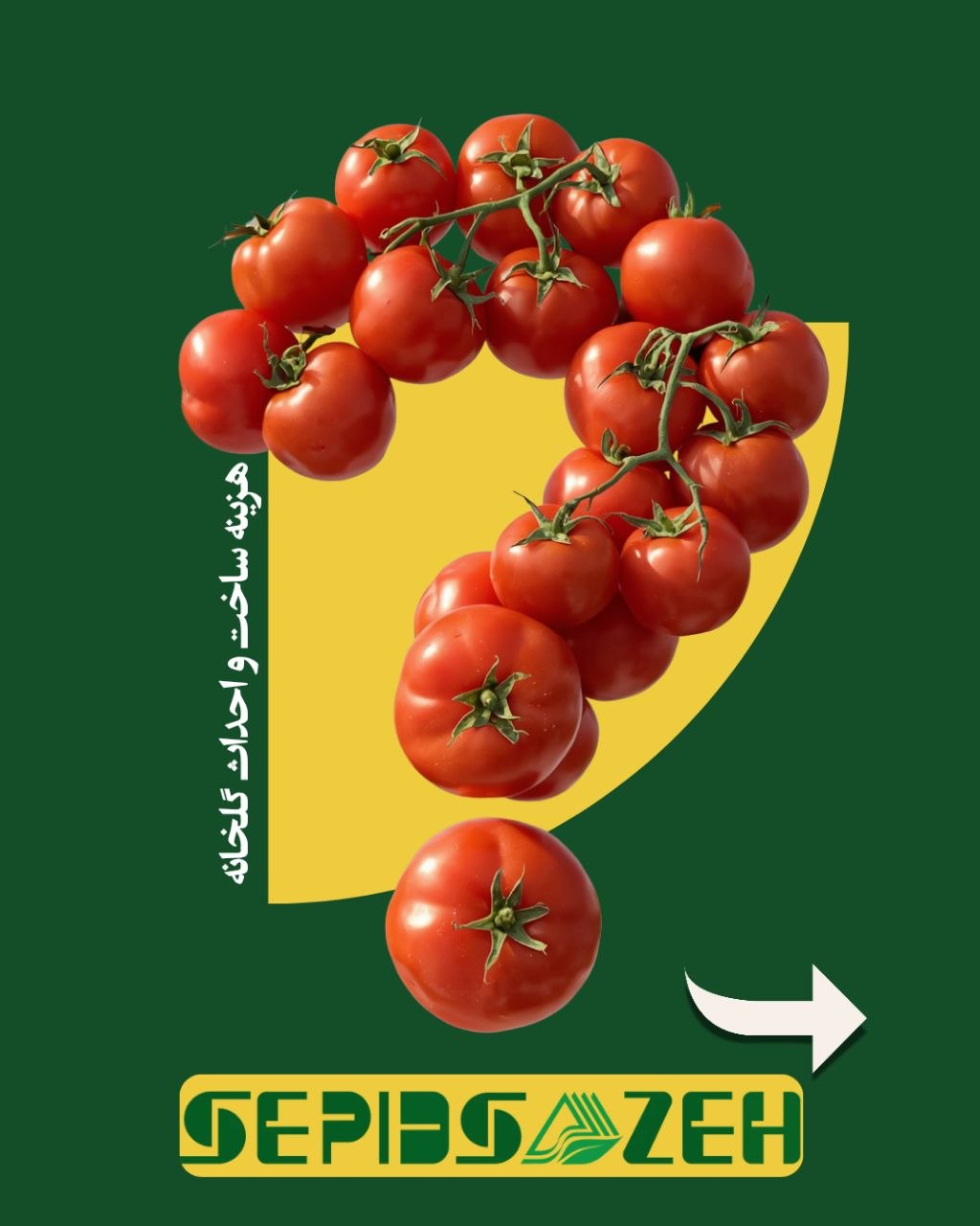 هزینه ساخت و احداث گلخانه چقدر است؟