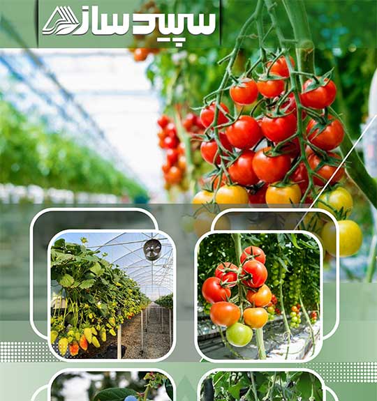 Greenhouse Company | Greenhouse Manufacturer | Greenhouse Construction | Greenhouse Structure | Industrial Greenhouse | Spanish Design Structure | Tunnel | Greenhouse Price